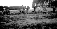 Arbeit Obere Dorfgemeinschaft bei &Ouml;dlandbepflanzung 1954